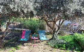 Villa 80 M2 Jardin Terrasse 3 Chambres Provence
